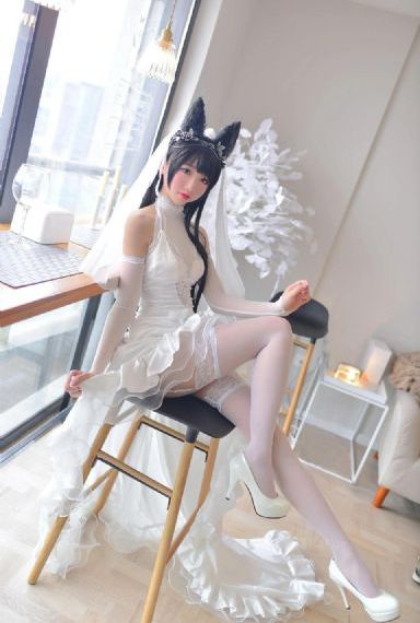 大象视频