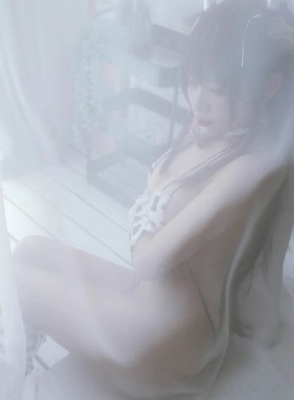 365日