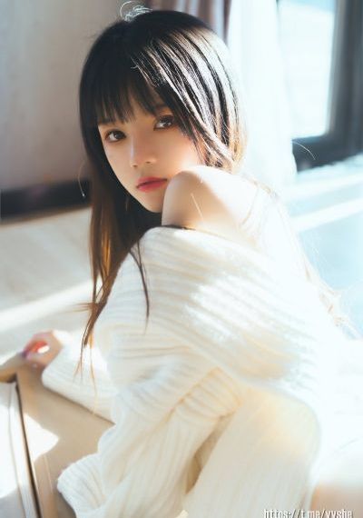 宋plus