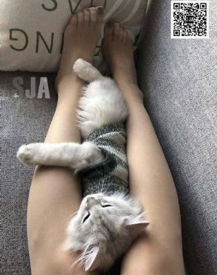 知名女星宣布无限期退出歌坛