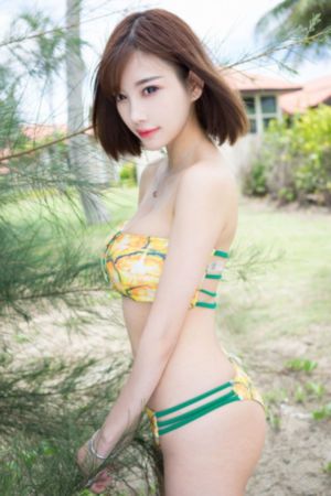 剑来全集免费观看完整版