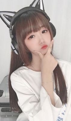 柳舟记张晚意电视剧免费观看