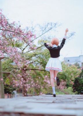 狐妖小红娘月红篇电视剧