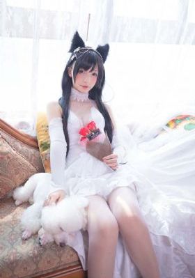 特殊待遇